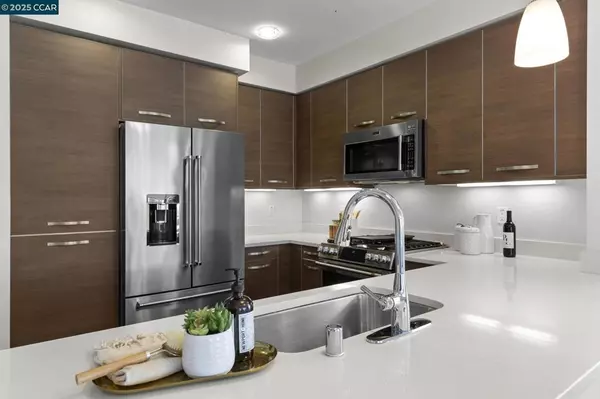 Walnut Creek, CA 94596,555 Ygnacio Valley Rd #222