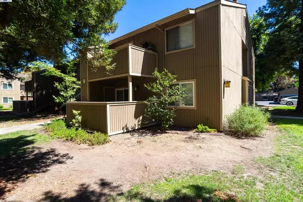 Fremont, CA 94536,3397 Foxtail Ter