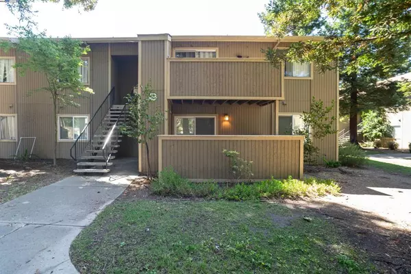 Fremont, CA 94536,3397 Foxtail Ter