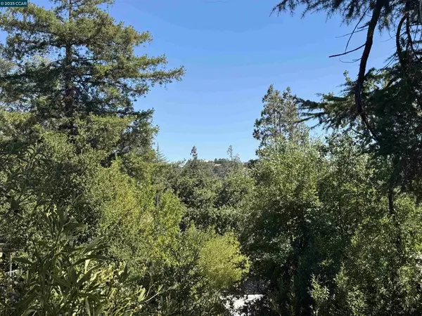 Lafayette, CA 94549,919 Janet Ln