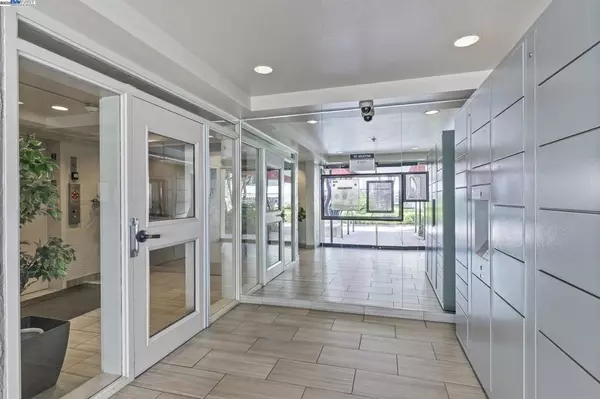 Walnut Creek, CA 94597,3173 Wayside Plz #207