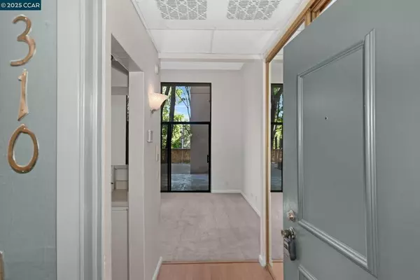 Walnut Creek, CA 94596,320 N Civic Dr #310