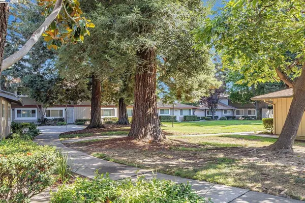 Fremont, CA 94536,38012 Dover Cmn