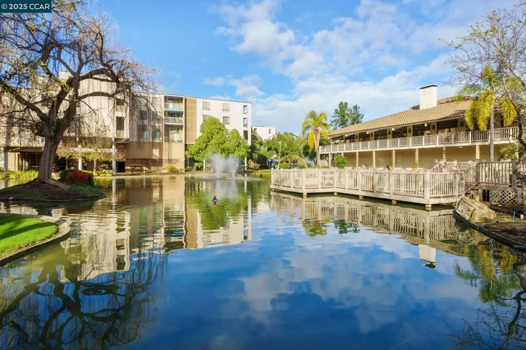 Walnut Creek, CA 94596,300 N Civic Dr #303
