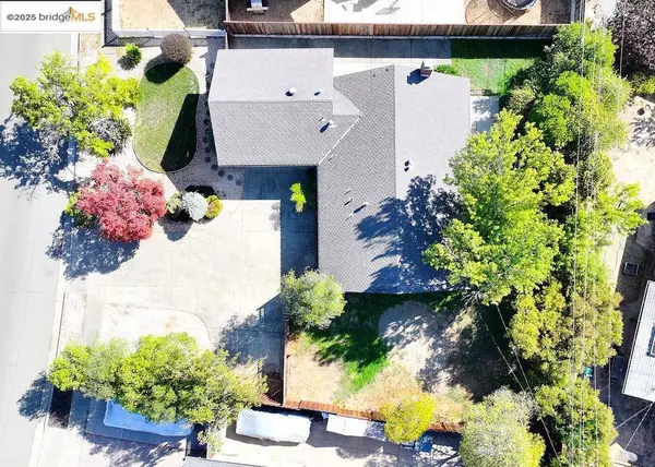 Novato, CA 94947,2449 Center Rd