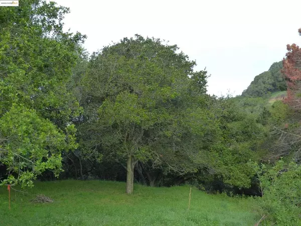 Oakland, CA 94605,11275 Kerrigan Dr