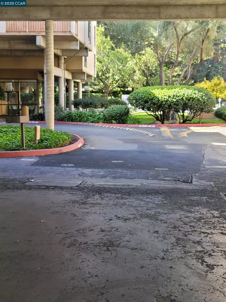 Walnut Creek, CA 94597,310 N Civic Dr. #315