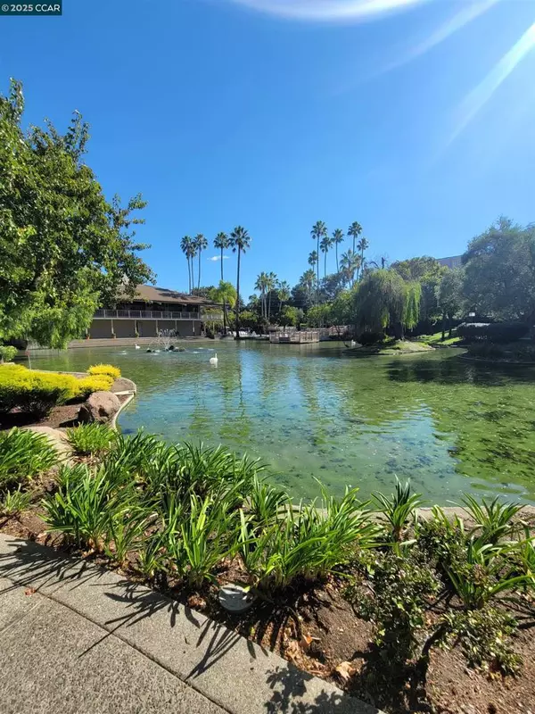 Walnut Creek, CA 94597,310 N Civic Dr. #315