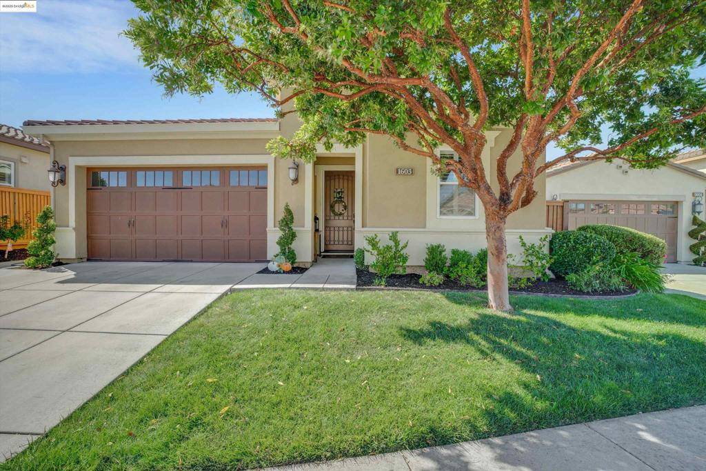Brentwood, CA 94513,1603 Zinfandel Dr