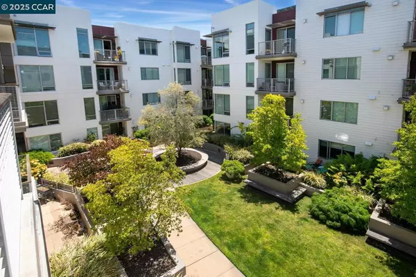 Walnut Creek, CA 94596,555 Ygnacio Valley Rd #309