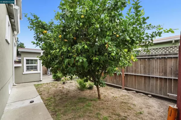 Oakland, CA 94603,950 Blenheim St