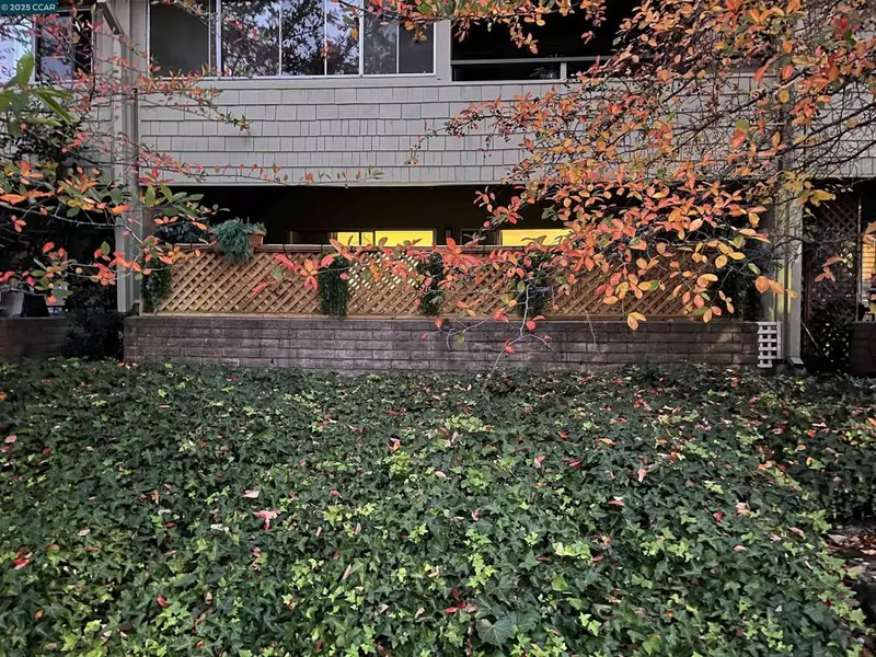 Walnut Creek, CA 94595