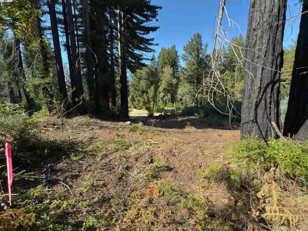 Boulder Creek, CA 95006,0 Fallen Leaf Dr