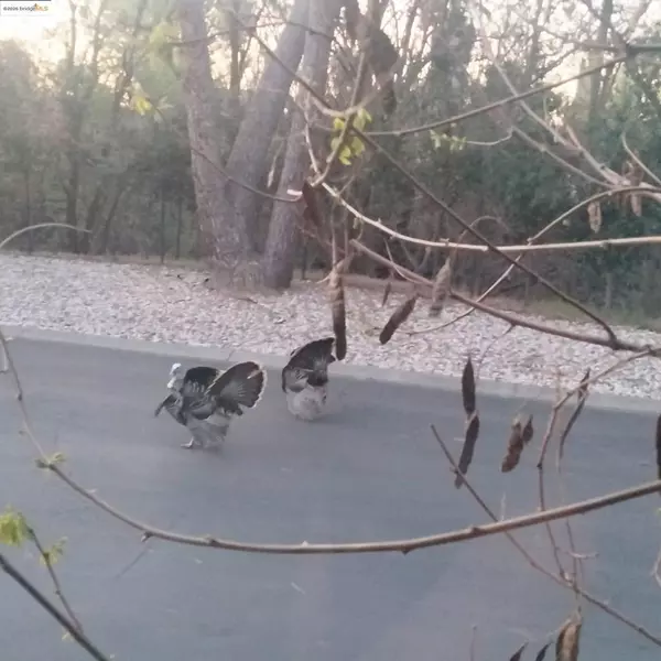 Antioch, CA 94509-4415,91 Diana Way