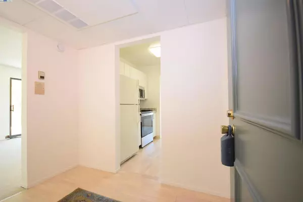 Walnut Creek, CA 94596,320 N Civic Dr #404