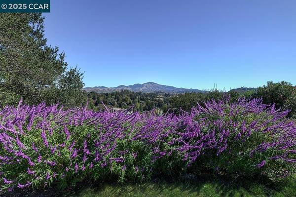 Walnut Creek, CA 94595,2148 Golden Rain Rd #1
