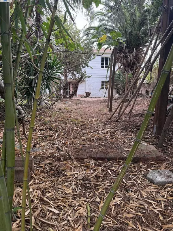 Berkeley, CA 94706-2502,1358 Acton Street