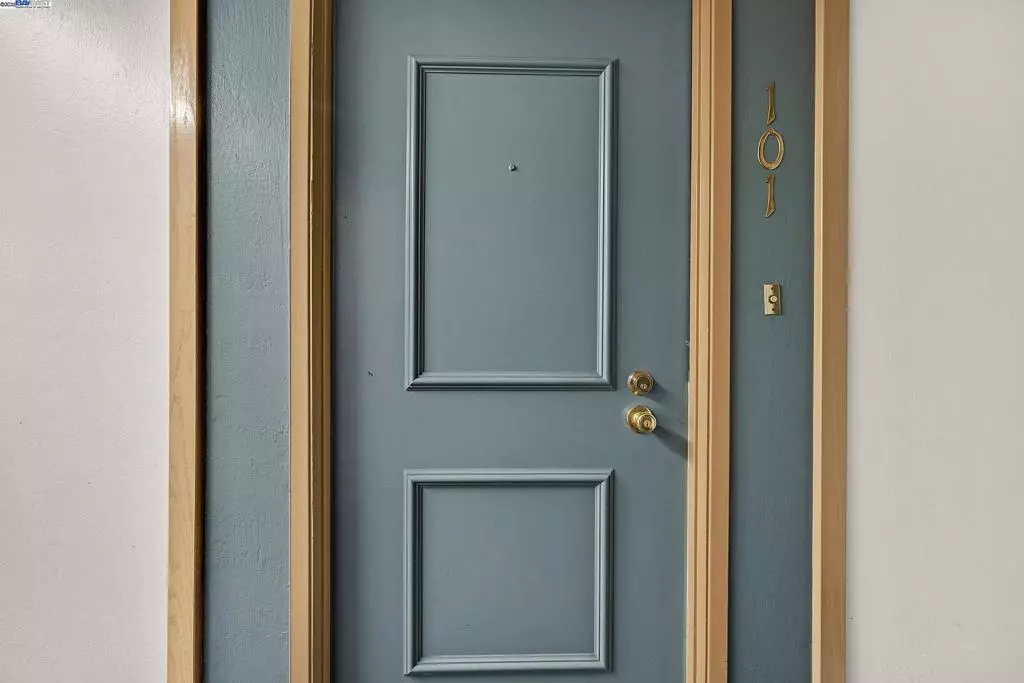 Walnut Creek, CA 94596,310 N Civic Dr #101