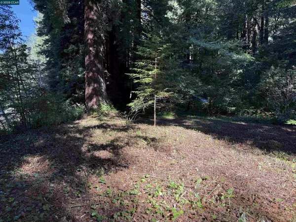 Cazadero, CA 95421,1445 Austin Creek Rd