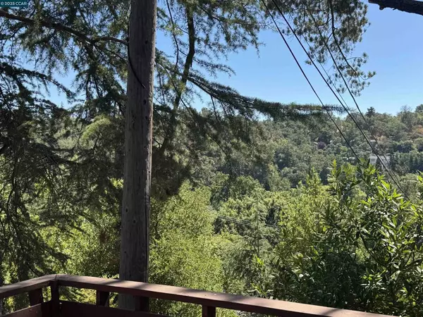 Lafayette, CA 94549,919 Janet Ln