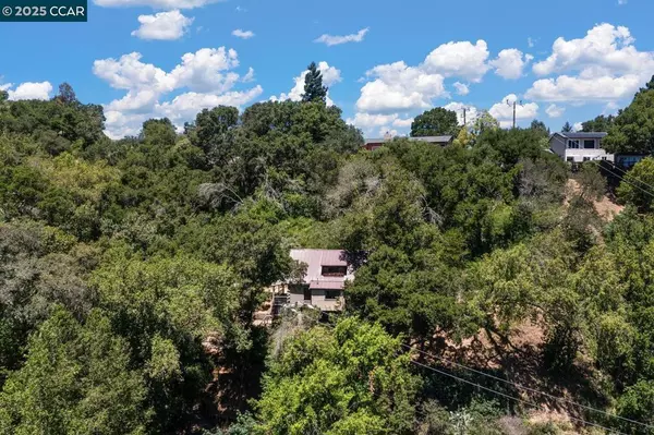 20 La Madronal, Orinda, CA 94563