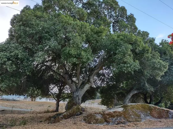 Gilroy, CA 95020,9375 Watsonville RD