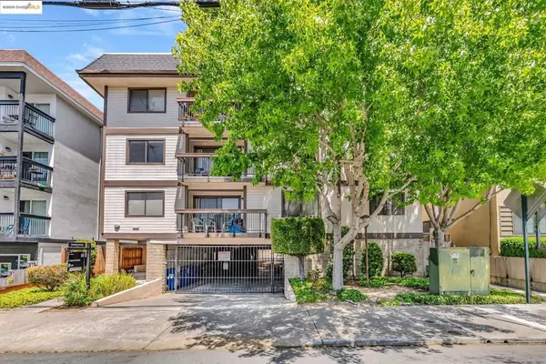 Albany, CA 94706,417 Evelyn Ave #205