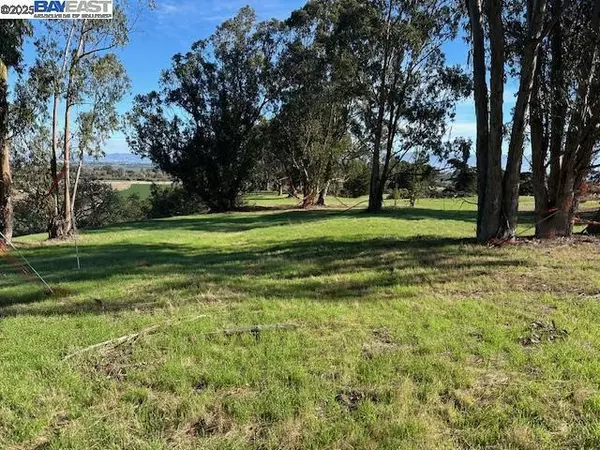 CA 00000,0 Woodridge Ct