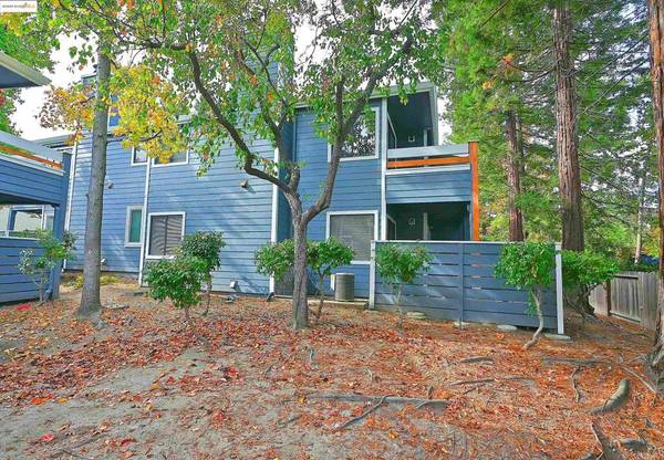 Martinez, CA 94553,648 Fig Tree Lane