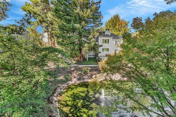 Pleasant Hill, CA 94523,394 Camelback Rd