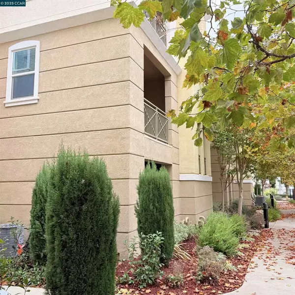 San Ramon, CA 94583,4704 Norris Canyon Rd #101