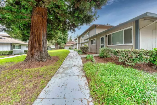 Fremont, CA 94536,3799 Colet Ter