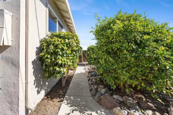 Castro Valley, CA 94546-3341,19695 Bernal Street