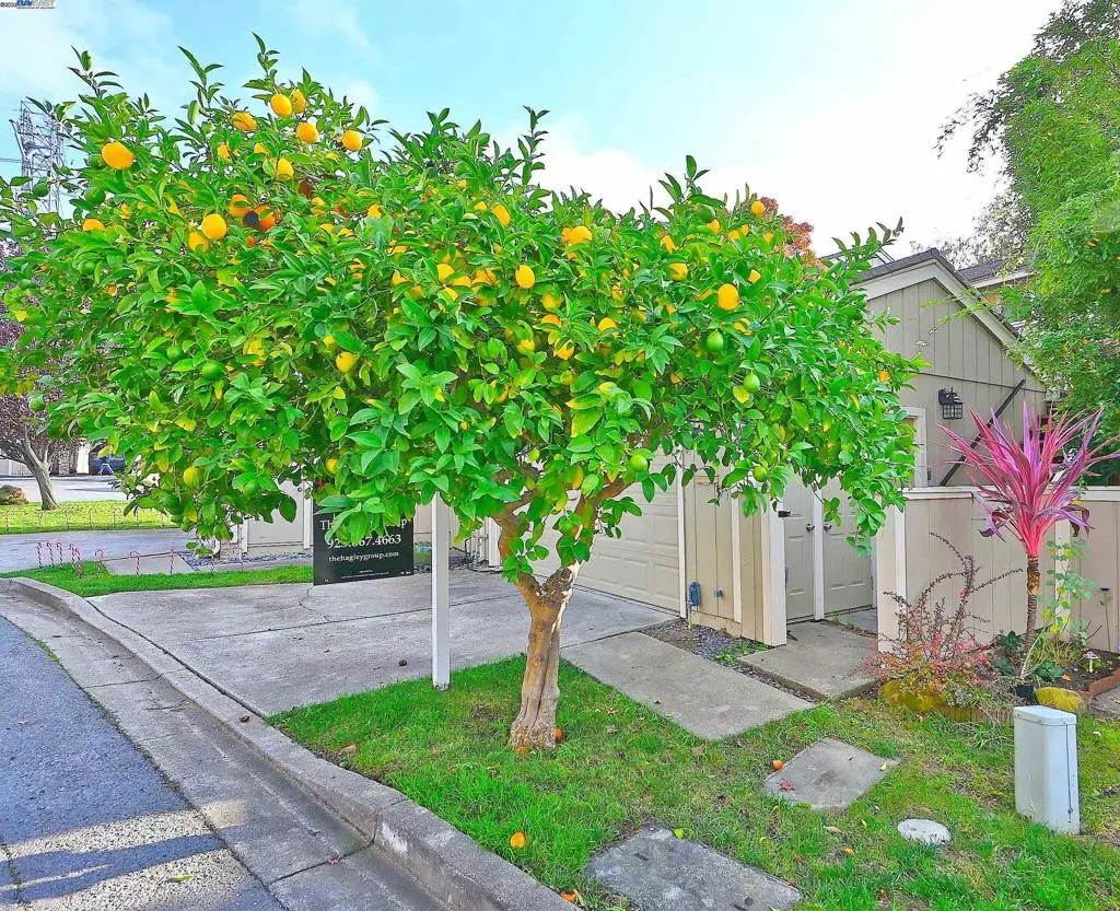 Martinez, CA 94553,405 Thistle Cir