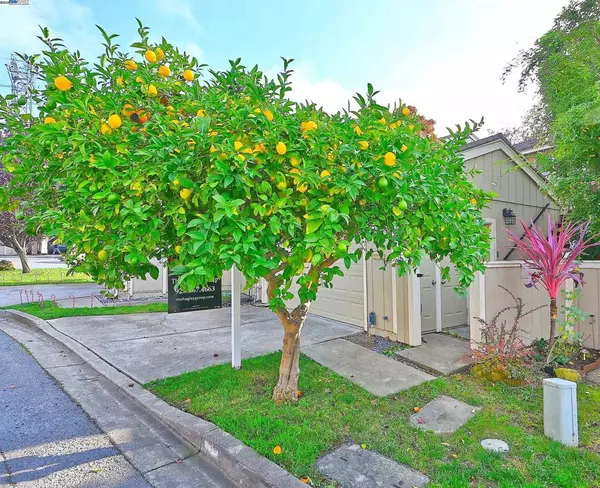 405 Thistle Cir, Martinez, CA 94553