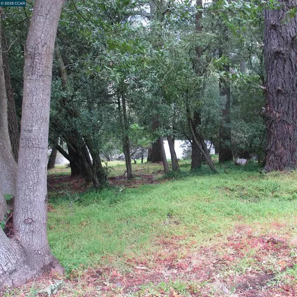 Oakland, CA 94611,6044 Skyline Blvd