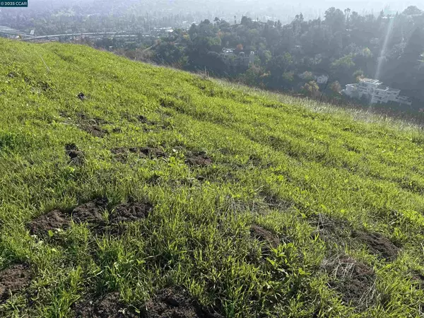 Walnut Creek, CA 94597,43 Cuesta way