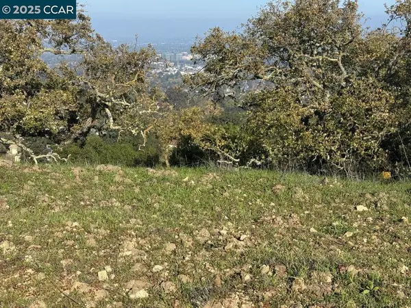 Walnut Creek, CA 94597,43 Cuesta way