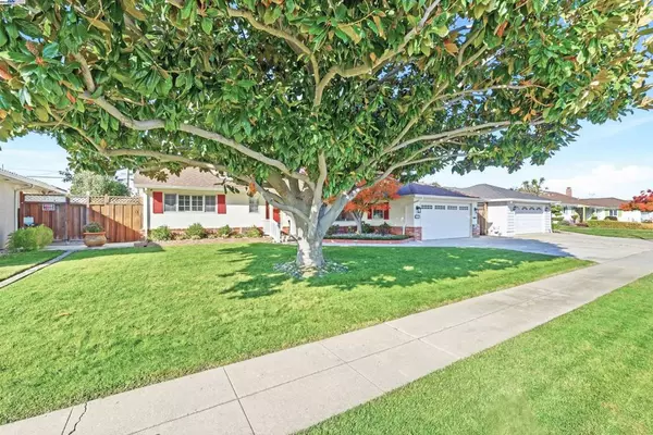 Fremont, CA 94536,5233 Vernon Ave