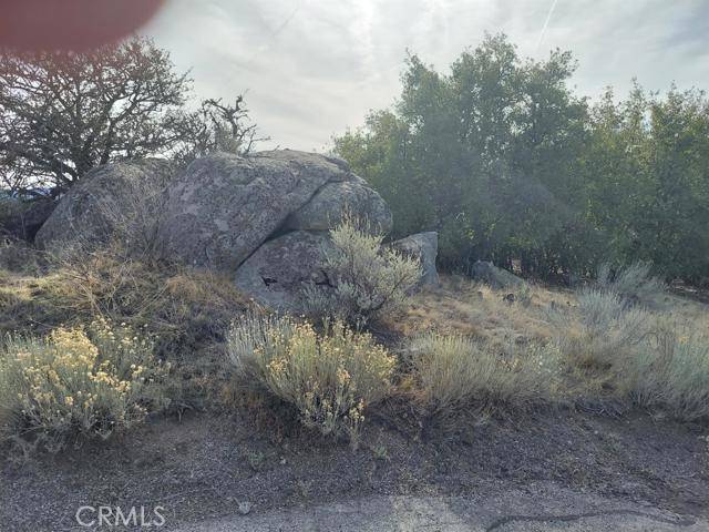Tehachapi, CA 93561,0 Amberwood CT