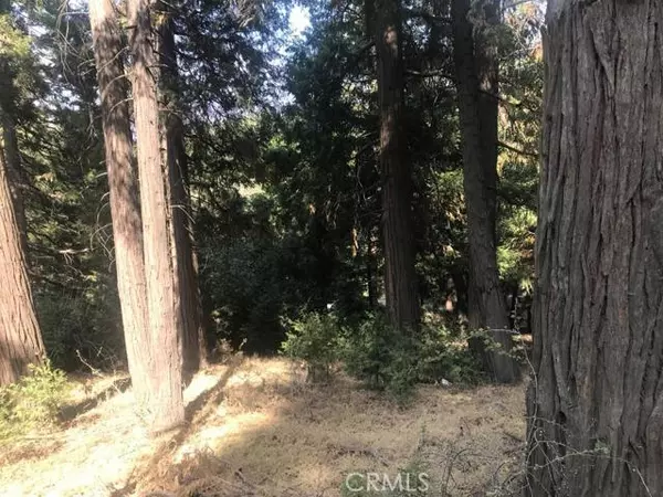 0 Mozundar DR, Cedarpines Park, CA 92322