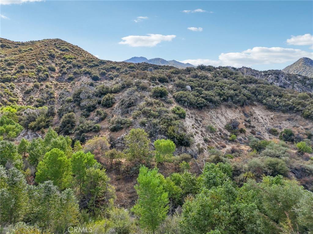 23070 Angeles Forest, Palmdale, CA 93550