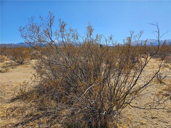 Palmdale, CA 93591,0 Avenue R