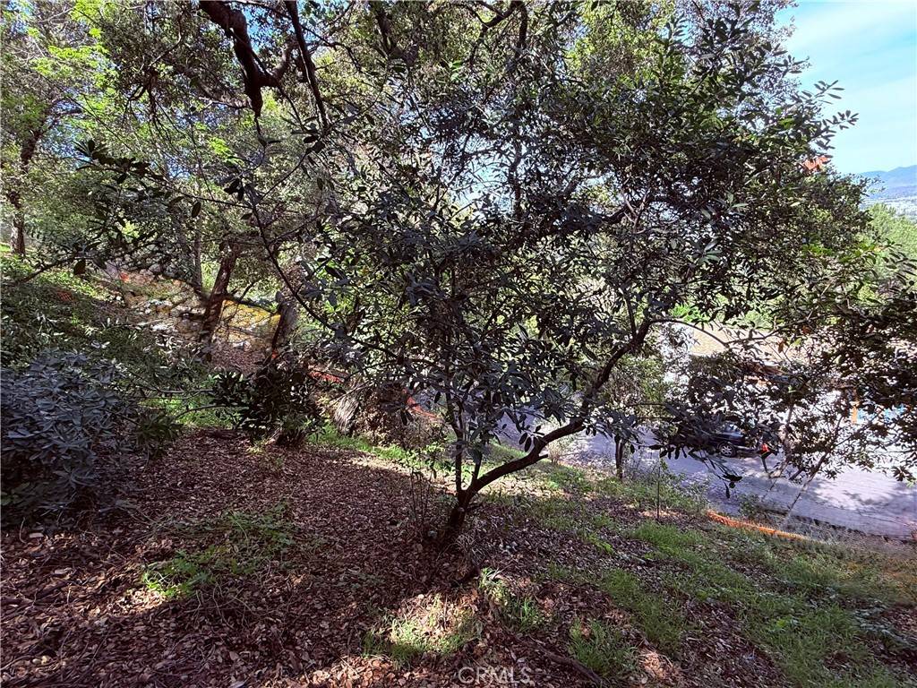 Studio City, CA 91604,11472 Laurelcrest dr