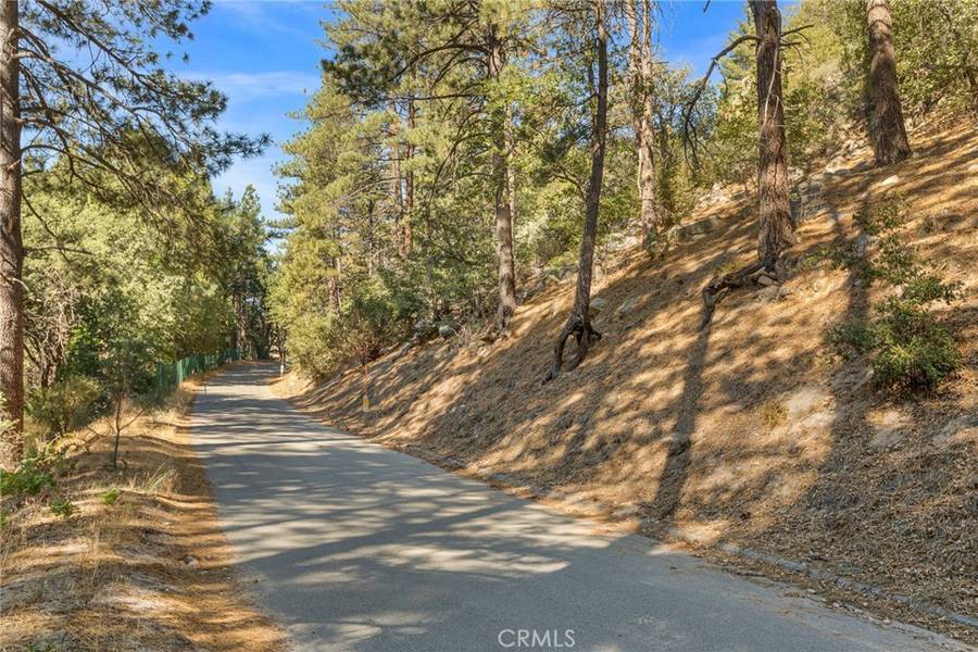 0 Torrey RD, Cedar Glen, CA 92352