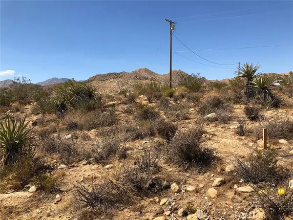 Yucca Valley, CA 92284,54575 Navajo TRL