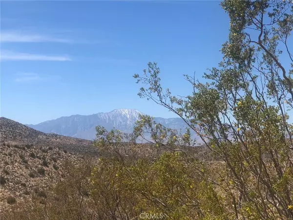 Yucca Valley, CA 92284,54575 Navajo TRL