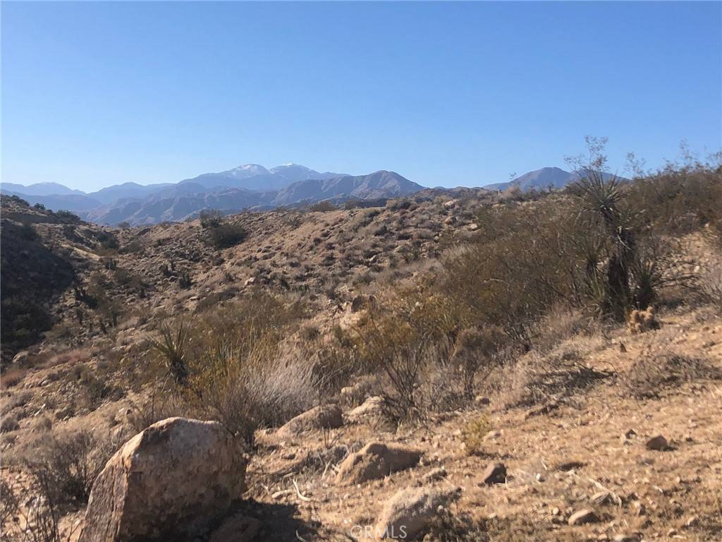 Yucca Valley, CA 92284,54575 Navajo TRL