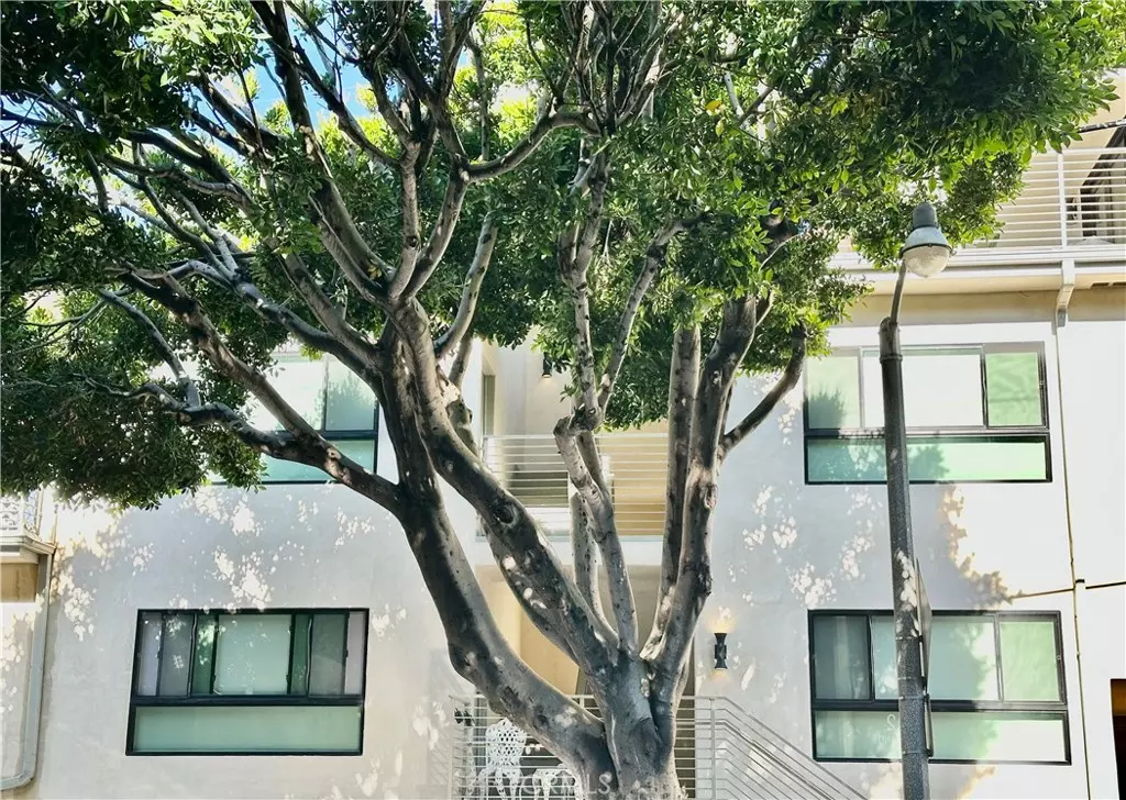 Santa Monica, CA 90405,301 Ashland AVE #2