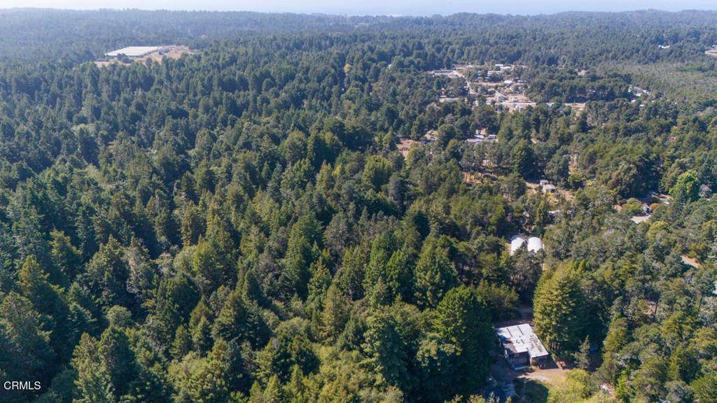 Fort Bragg, CA 95437,31101 Turner RD
